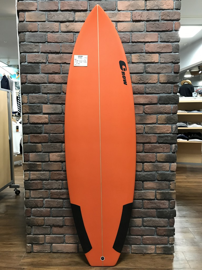 17SWS-1表